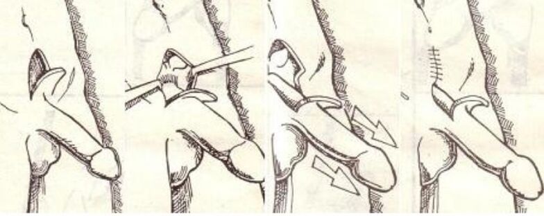 Ұлттық порно агенті